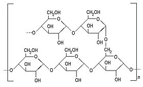 Image illustrative de l’article Amylopectine