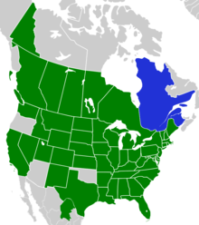 Symphyotrichum laeve native distribution map: Canada — Alberta, British Columbia, Manitoba, New Brunswick, Ontario, Québec, Saskatchewan, and Yukon; Mexico — Coahuila; US — Alabama, Arkansas, California, Colorado, Connecticut, Delaware, District of Columbia, Florida, Georgia, Idaho, Illinois, Indiana, Iowa, Kansas, Kentucky, Louisiana, Maine, Maryland, Massachusetts, Michigan, Minnesota, Mississippi, Missouri, Montana, Nebraska, Nevada, New Hampshire, New Jersey, New Mexico, New York, North Carolina, North Dakota, Ohio, Pennsylvania, Rhode Island, South Carolina, South Dakota, Tennessee, Texas, Utah, Vermont, Virginia, Washington, West Virginia, Wisconsin, and Wyoming.