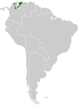 Distribución geográfica de la tangara cabecinegra.