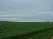 Photo d'un champ en herbe très vert, les nuages étant bas.