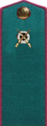 погон 1943