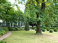 Gartensaal mit vorgelagertem, unteren Barockgarten