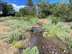 Looking upstream from the mouth of Cable Creek