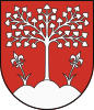 Coat of arms of Brezová pod Bradlom
