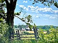 Freelton Farm, looking west on Concession Road 8 East.