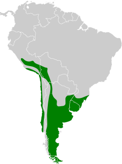 Distribución geográfica del minero común