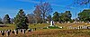 Greenwood Cemetery