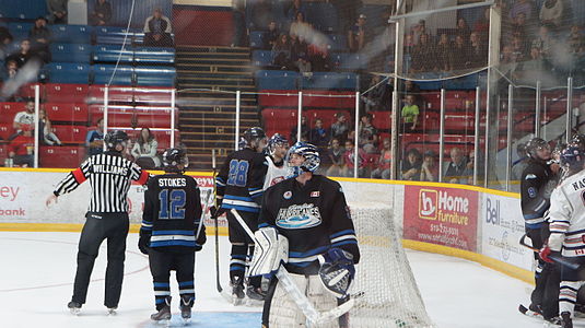 Guelph Hurricanes Goalie