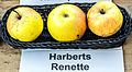 Harberts Renette