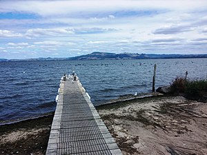 A small jetty at the edge of Lake Rotorua