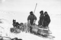 Trois hommes près d'un traîneau.