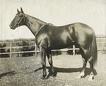 Poseidon, 1906 winner