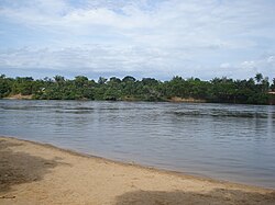 Vaupés River