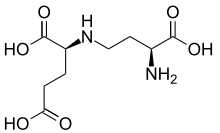 Stereo, skeletal formula of saccharopine ((2S)-2-{[(5S)-5-aminopentyl]amino})