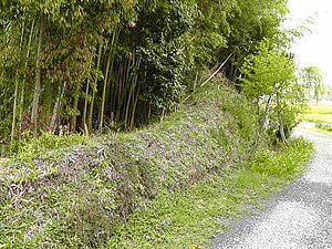 寺村城の土塁の一部