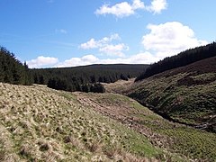 The Clay Burn and Uswayford Forest