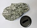 Tsawela tonalitic gneiss from South Africa