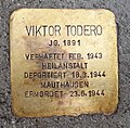 Todero, Viktor