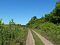 Дорога в селі Пащенкове