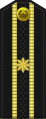 III rang kapitani (Uzbek River Force)[9]
