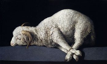 Agnus Dei, huile sur toile de Francisco de Zurbarán (entre 1635 et 1640, musée du Prado). (définition réelle 3 050 × 1 822)