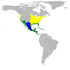      Nidificación      Invernada      Todo el año