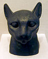 مومياء قطة ، متحف جامعة شيكاغو)