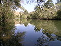 Image 13A pensive Cooplacurripa River, NSW (from River ecosystem)