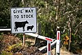 Image 43This Australian road sign uses the less common term "stock" for livestock. (from Livestock)