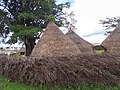 Modern-day view of the traditional palace (ibwami) of Mwambutsa IV