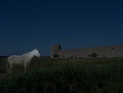 Image illustrative de l’article Sans Atout et le Cheval fantôme