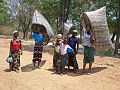 Group of women, traditionally unisex occupation