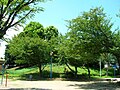 公園側から見た古墳全景