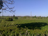 Mullaghmeen Hill in County Westmeath, the lowest of all County Tops in Ireland.