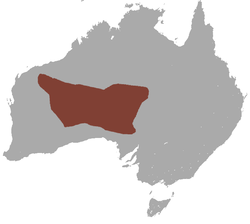 Mapa de distribución de Sminthopsis ooldea