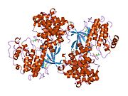 1oiu: STRUCTURE OF HUMAN THR160-PHOSPHO CDK2/CYCLIN A COMPLEXED WITH A 6-CYCLOHEXYLMETHYLOXY-2-ANILINO-PURINE INHIBITOR