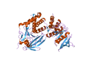 2nlk: Crystal structure of D1 and D2 catalytic domains of human Protein Tyrosine Phosphatase Gamma (D1+D2 PTPRG)