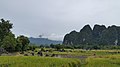 Lanskap persawahan di sekitar Taman Prasejarah Leang-Leang, Cagar Alam Bantimurung.