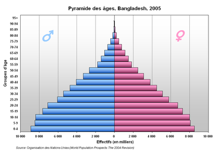 Pyramide des âges, en 2005.