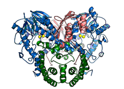 Alkylsulfatase 1