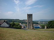 The tower from a distance