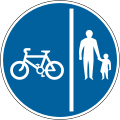 Divided track for cyclists and pedestrians only