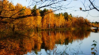 Øjesø (lit: Eye-lake) a forest lake.