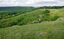 Besputskaya Glade, Shpakovsky District