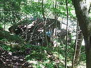 親村（下村）の廃屋