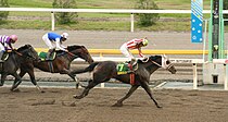 第20回かしわ記念(勝ち馬ボンネビルレコード、鞍上的場文男騎手)