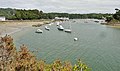 La ria du Bélon et le port de Bélon vus depuis la pointe de Porscouric à marée basse.