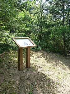 Arboretum de Saint-Préjet-d'Allier.