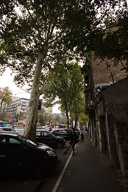 Bulevar Oslobođenja, view down in the direction of Slavija Square