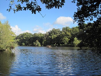 Beech Hill Lake in Monken Hadley Common